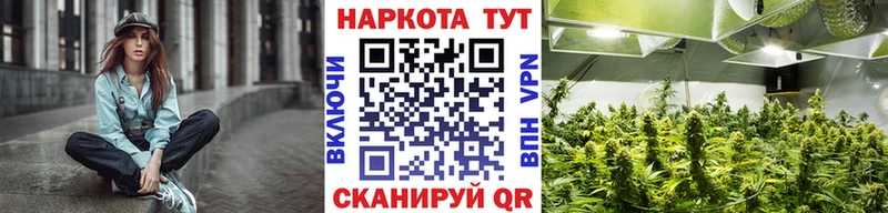 Наркошоп купить COCAIN  Меф  A PVP  Псилоцибиновые грибы  Конопля  Рославль