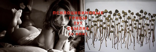 метадон Елабуга