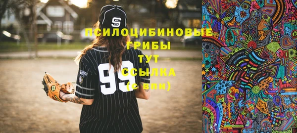 амфетамин Елизово